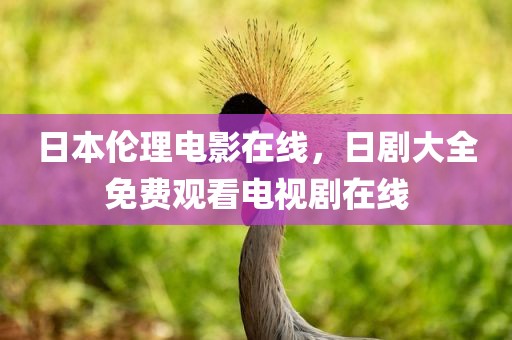 日本伦理电影在线，日剧大全免费观看电视剧在线