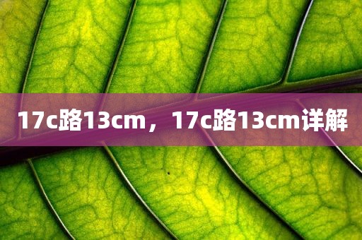 17c路13cm，17c路13cm详解