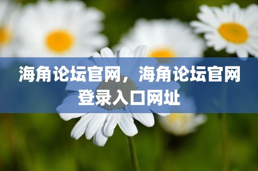 海角论坛官网，海角论坛官网登录入口网址