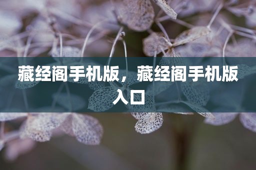 藏经阁手机版，藏经阁手机版入口