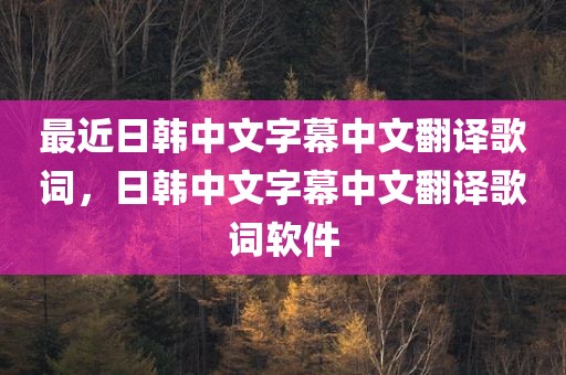 最近日韩中文字幕中文翻译歌词，日韩中文字幕中文翻译歌词软件
