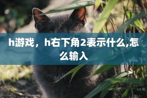 h游戏，h右下角2表示什么,怎么输入