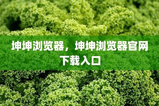 坤坤浏览器，坤坤浏览器官网下载入口