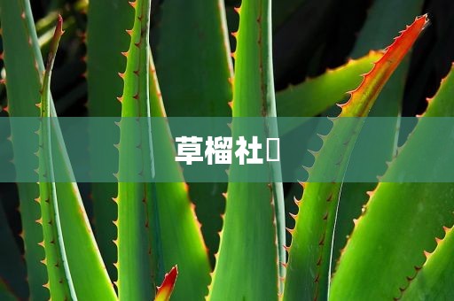 草榴社區