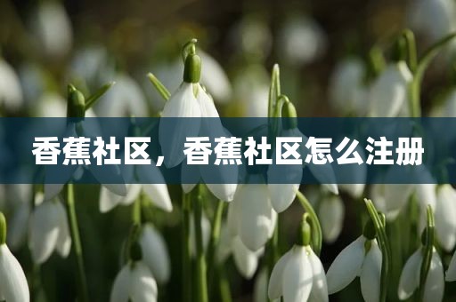 香蕉社区，香蕉社区怎么注册