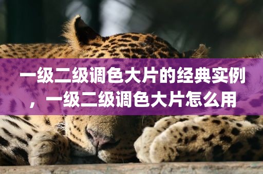 一级二级调色大片的经典实例，一级二级调色大片怎么用