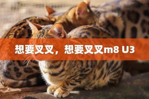 想要叉叉，想要叉叉m8 U3