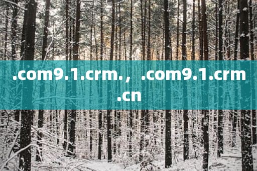 .com9.1.crm.，.com9.1.crm.cn