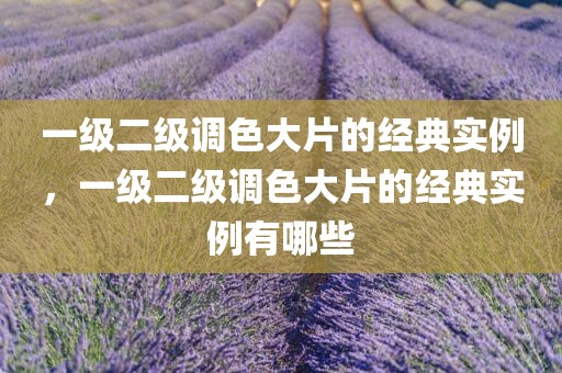 一级二级调色大片的经典实例，一级二级调色大片的经典实例有哪些
