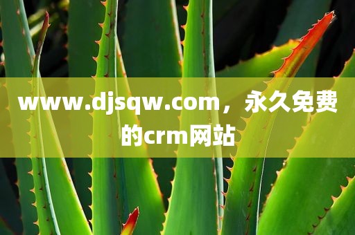www.djsqw.com，永久免费的crm网站