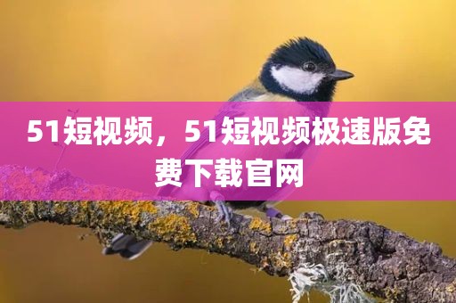 51短视频，51短视频极速版免费下载官网