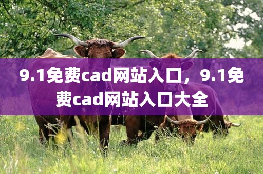 9.1免费cad网站入口，9.1免费cad网站入口大全