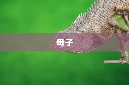 母子