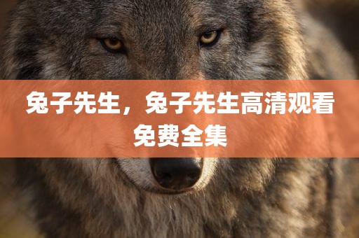 兔子先生，兔子先生高清观看免费全集
