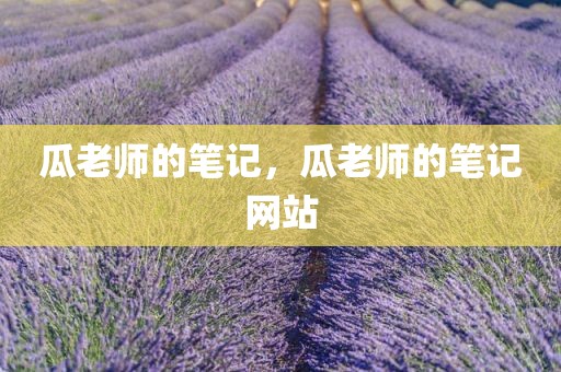 瓜老师的笔记，瓜老师的笔记网站