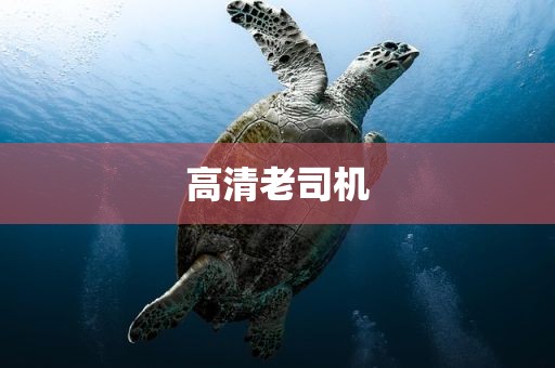 高清老司机