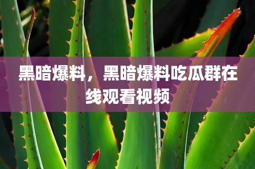 黑暗爆料，黑暗爆料吃瓜群在线观看视频