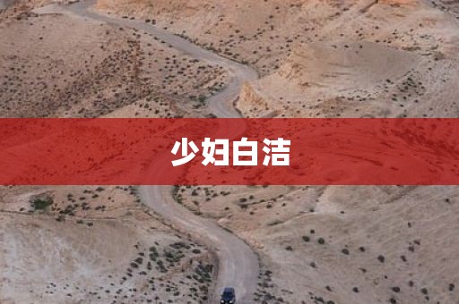 少妇白洁