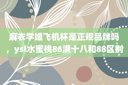 麻衣学姐飞机杯是正规品牌吗，ysl水蜜桃86满十八和88区别