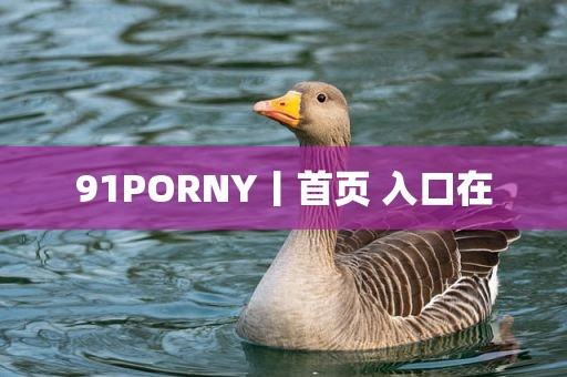 91PORNY丨首页 入口在