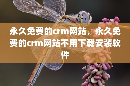 永久免费的crm网站，永久免费的crm网站不用下载安装软件