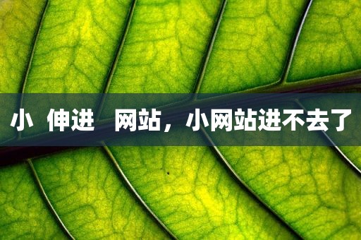 小  伸进   网站，小网站进不去了