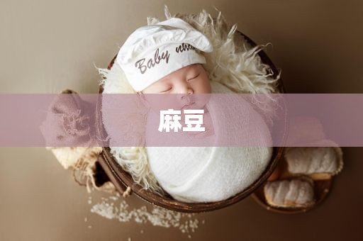 麻豆