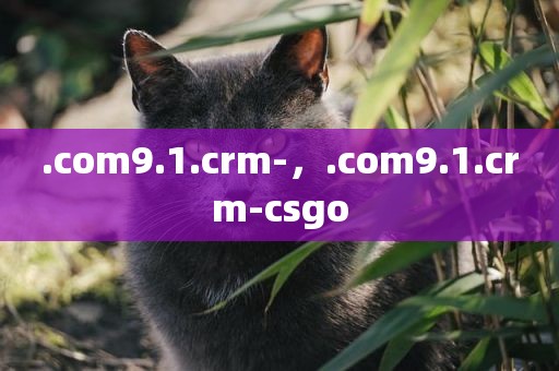 .com9.1.crm-，.com9.1.crm-csgo