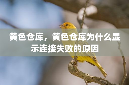 黄色仓库，黄色仓库为什么显示连接失败的原因
