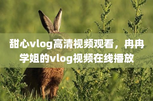 甜心vlog高清视频观看，冉冉学姐的vlog视频在线播放