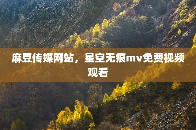麻豆传媒网站，星空无痕mv免费视频观看