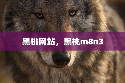 黑桃网站，黑桃m8n3