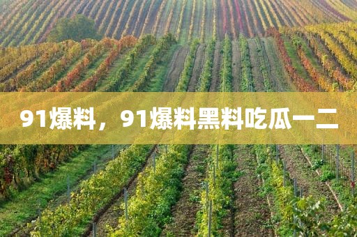 91爆料，91爆料黑料吃瓜一二