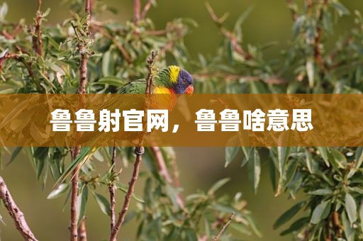 鲁鲁射官网，鲁鲁啥意思