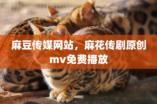 麻豆传媒网站，麻花传剧原创mv免费播放