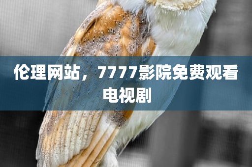 伦理网站，7777影院免费观看电视剧