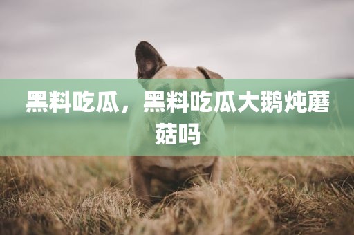 黑料吃瓜，黑料吃瓜大鹅炖蘑菇吗