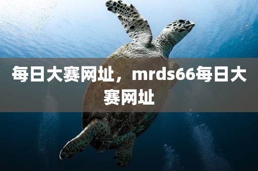每日大赛网址，mrds66每日大赛网址