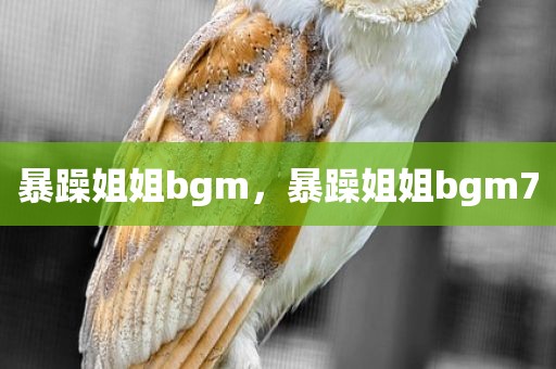 暴躁姐姐bgm，暴躁姐姐bgm7