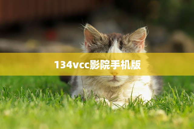 134vcc影院手机版