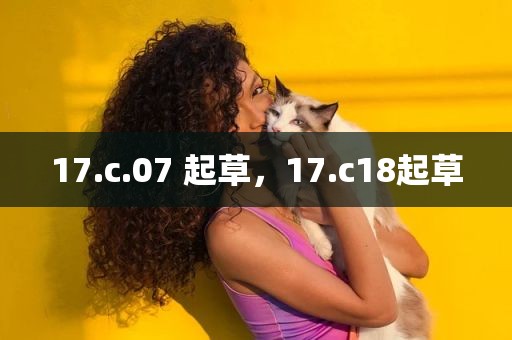 17.c.07 起草，17.c18起草