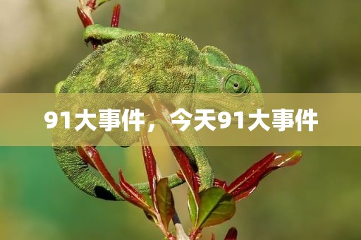 91大事件，今天91大事件