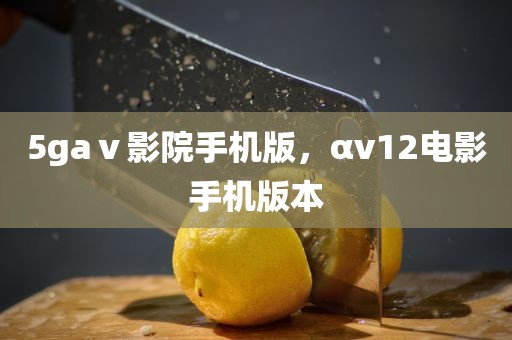 5gaⅴ影院手机版，αv12电影手机版本