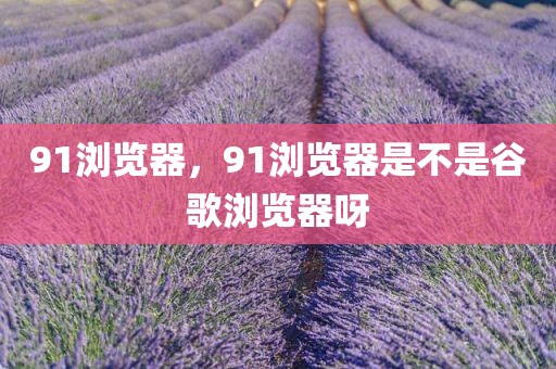 91浏览器，91浏览器是不是谷歌浏览器呀