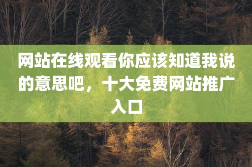 网站在线观看你应该知道我说的意思吧，十大免费网站推广入口