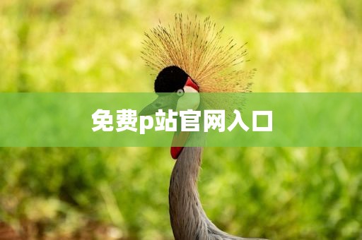 免费p站官网入口