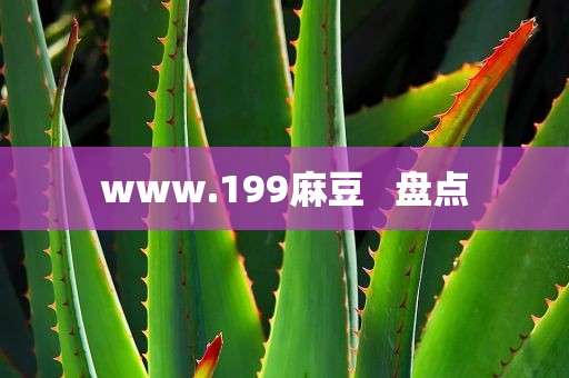 www.199麻豆   盘点