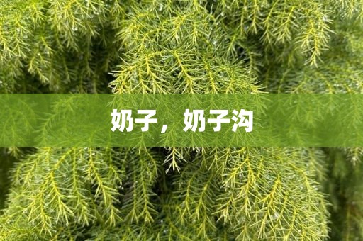 奶子，奶子沟