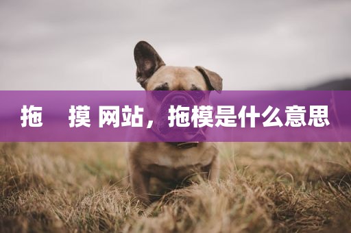 拖    摸 网站，拖模是什么意思