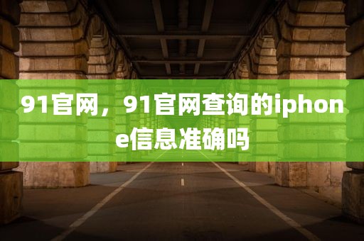 91官网，91官网查询的iphone信息准确吗